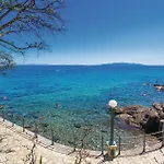 In Veli Brgud